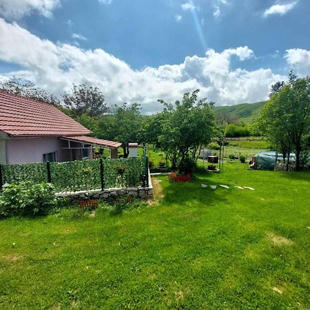 Village Flower Ivy Montenegro Niksic Exterior photo
